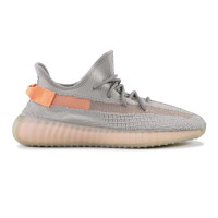 Adidas Yeezy Boost 350 v2 True Form Adidas Yeezy Boost 350 v2 True Form